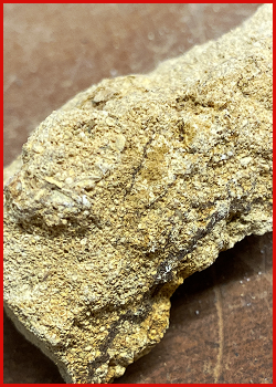 Single Specimen of Oolitic Limestone