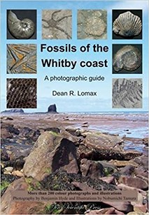 Fossils of the Whitby coast