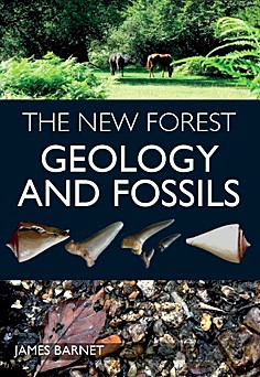 The New Forest Geology and Fossils